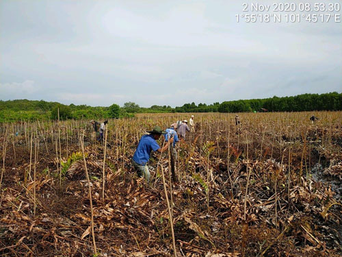 Program RHL KLHK di Riau Serap Ratusan Ribu Tenaga Kerja